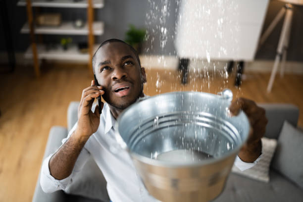 Best Mold removal after water damage  in Tariffville, CT