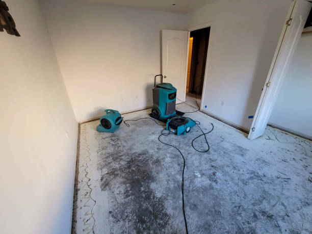 Best Water damage restoration near me  in Tariffville, CT
