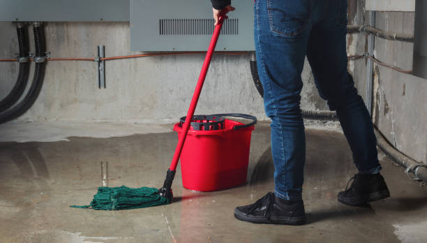Best Residential water damage restoration  in Tariffville, CT