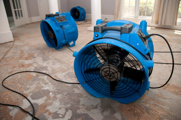 Best Fire Damage Restoration  in Tariffville, CT