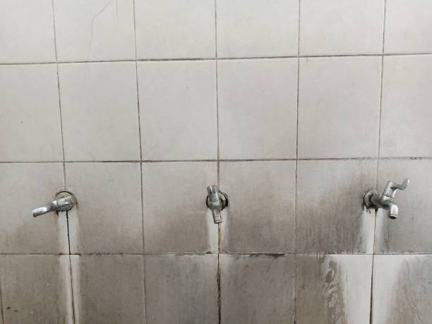 Best 24-hour water damage restoration  in Tariffville, CT