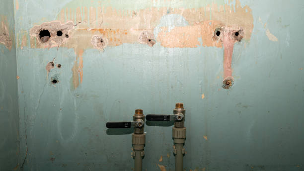Best 24/7 water damage repair  in Tariffville, CT