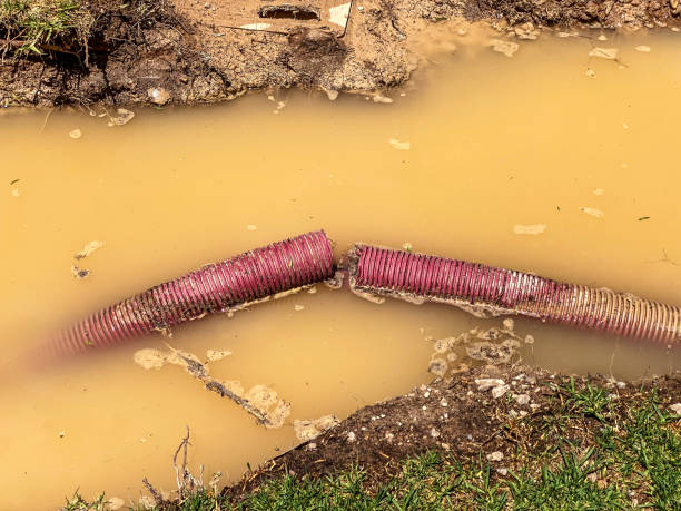 Best Professional water damage repair  in Tariffville, CT