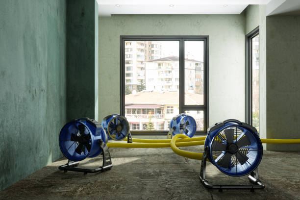Best Sewage cleanup and water damage restoration  in Tariffville, CT